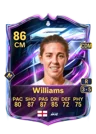 Williams - 86 - Base Hero