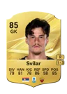 Svilar - 85 - Rare