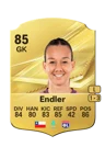 Endler - 85 - Rare