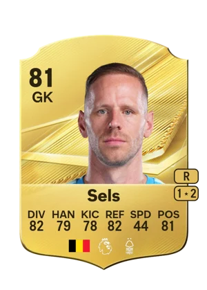 Sels - 81 - Rare EA FC 27 card
