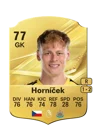 Horníček - 77 - Rare
