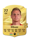 Dibusz - 77 - Rare