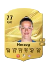Herzog - 77 - Rare
