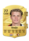 Steijn - 77 - Rare