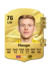 Hauge - 76 - Rare