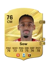 Sow - 76 - Rare