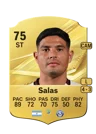 Salas - 75 - Rare