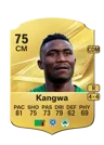 Kangwa - 75 - Rare
