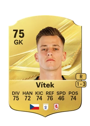 Vítek - 75 - Rare EA FC 27 card