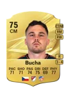 Bucha - 75 - Rare