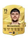 Birmančević - 75 - Rare