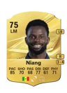 Niang - 75 - Rare