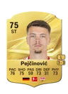 Pejčinović - 75 - Rare