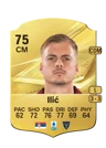 Ilić - 75 - Rare