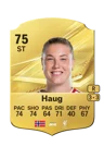 Haug - 75 - Rare