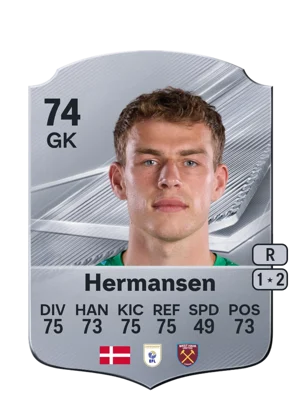 Hermansen - 74 - Rare EA FC 27 card