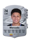 Mercado - 74 - Rare