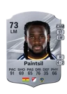 Paintsil - 73 - Rare