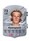 Kjaergaard - 73 - Rare