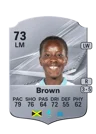 Brown - 73 - Rare