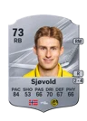 Sjøvold - 73 - Rare