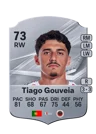 Tiago Gouveia - 73 - Rare
