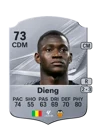 Dieng - 73 - Rare