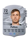 Pelkas - 72 - Rare