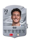 Gül - 72 - Rare