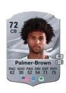 Palmer-Brown - 72 - Rare