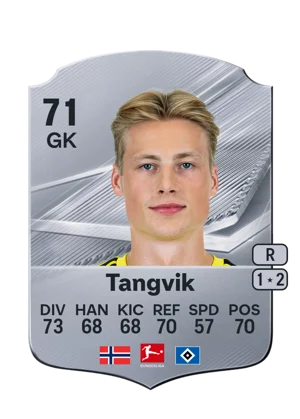 Tangvik - 71 - Rare EA FC 27 card