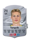Tangvik - 71 - Rare