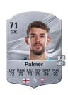 Palmer - 71 - Rare