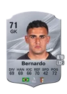 Bernardo - 71 - Rare