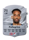 Pellegrino - 71 - Rare