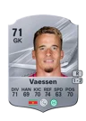 Vaessen - 71 - Rare