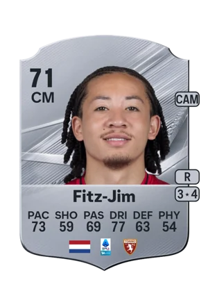Fitz-Jim - 71 - Rare EA FC 27 card