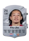 Fitz-Jim - 71 - Rare