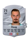 Haug - 71 - Rare