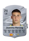 Juanma Herzog - 71 - Rare