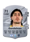 Gandelman - 71 - Rare