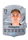 Pellegrino - 71 - Rare