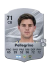 Pellegrino - 71 - Rare