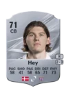 Hey - 71 - Rare