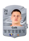 Čelik - 71 - Rare