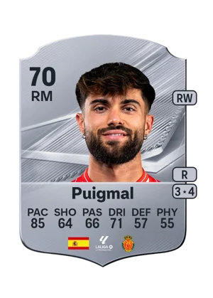Puigmal - 70 - Rare EA FC 27 card