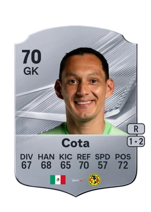 Cota - 70 - Rare EA FC 27 card