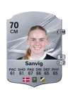 Sanvig - 70 - Rare
