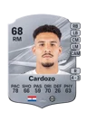 Cardozo - 68 - Rare