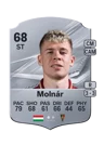 Molnár - 68 - Rare
